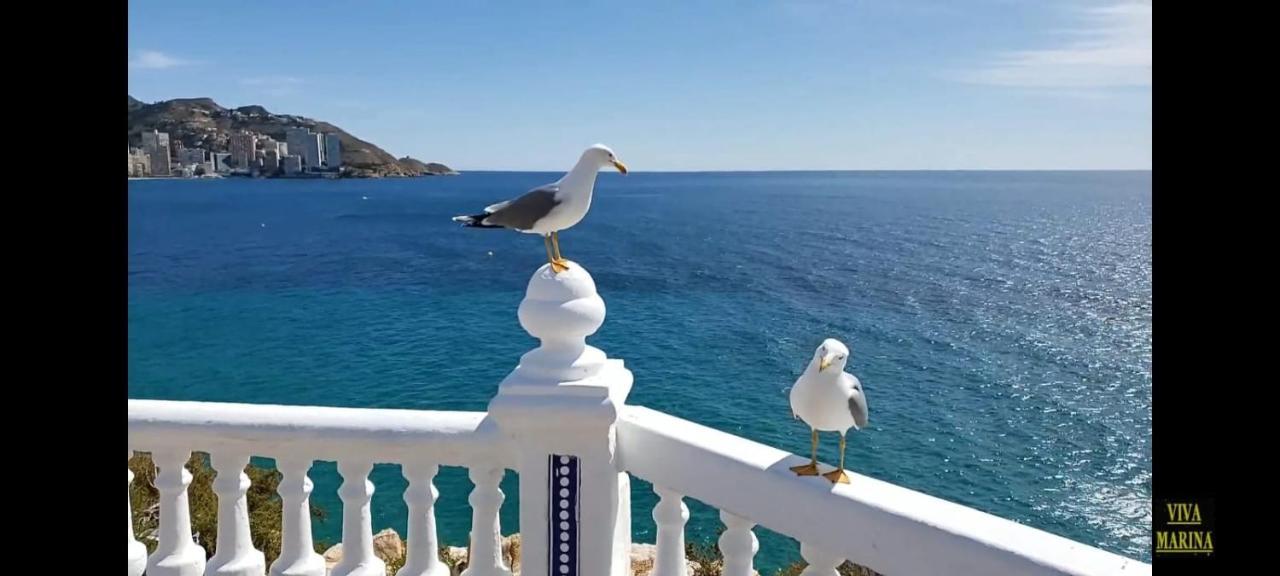 Apartamento Sun Beach Benidorm Zewnętrze zdjęcie